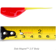 Load image into Gallery viewer, Crappie Magnet Slab Magnet