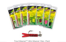 Load image into Gallery viewer, Trout Magnet Mini Magnet