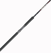 Load image into Gallery viewer, B'n'M Buck's Pro Staff Trolling Rod