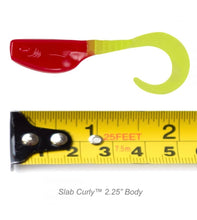 Load image into Gallery viewer, Crappie Magnet Slab Curly