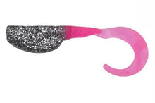 Load image into Gallery viewer, Crappie Magnet Slab Curly