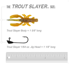 Load image into Gallery viewer, Trout Slayer Kit
