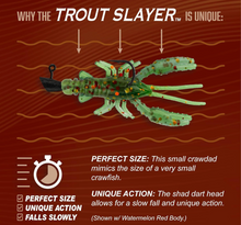 Load image into Gallery viewer, Trout Slayer Kit
