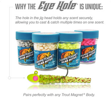 Load image into Gallery viewer, Crappie Magnet Tungsten Eye Hole Jigs
